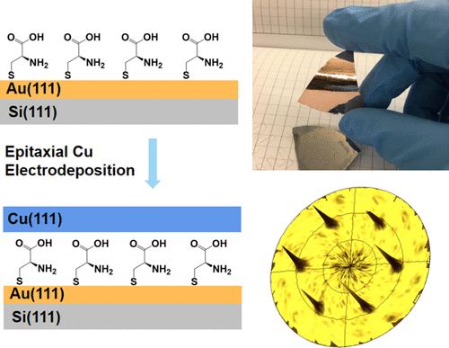 Epitaxial Electrodeposition Of Cu 111 Onto An L Cysteine Self Assembled Monolayer On Au 111 And Epitaxial Lift Off Of Single Crystal Like Cu Foils For Flexible Electronics The Journal Of Physical Chemistry C X Mol