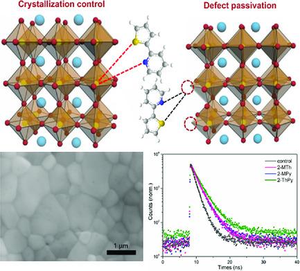 Efficient Bidentate Molecules Passivation Strategy For High‐Performance ...