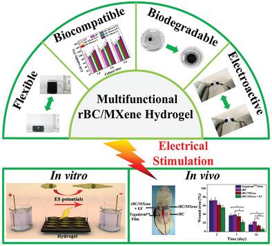 Biodegradable And Electroactive Regenerated Bacterial Cellulose Mxene Ti3 C2 Tx Composite Hydrogel As Wound Dressing For Accelerating Skin Wound Healing Under Electrical Stimulation Advanced Healthcare Materials X Mol