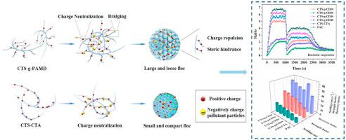 Effect Of Fine Structure Of Chitosan Based Flocculants On The Flocculation Of Bentonite And Humic Acid Evaluation And Modeling Chemosphere X Mol