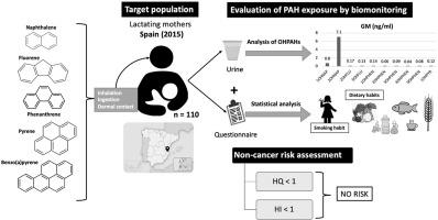 Biomonitoring Of Polycyclic Aromatic Hydrocarbons In The Urine Of Lactating Mothers Urinary Levels Association With Lifestyle Factors And Risk Assessment Environmental Pollution X Mol