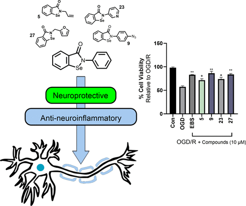 Neuroprotective And Anti Neuroinflammatory Properties Of Ebselen Derivatives And Their Potential To Inhibit Neurodegeneration Acs Chemical Neuroscience X Mol