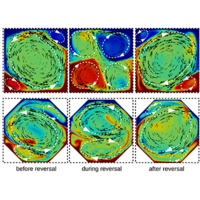 八角形外壳中的热对流 Physical Review Fluids X Mol