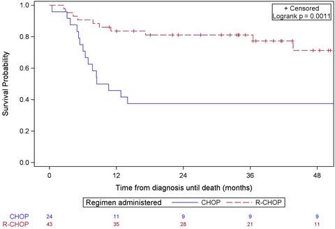 The Effectiveness Of Rituximab And Hiv On The Survival Of Ontario Patients With Diffuse Large B Cell Lymphoma Cancer Medicine X Mol