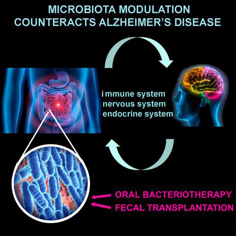 微生物群调节作为阿尔茨海默氏病的预防和治疗方法 The Febs Journal X Mol