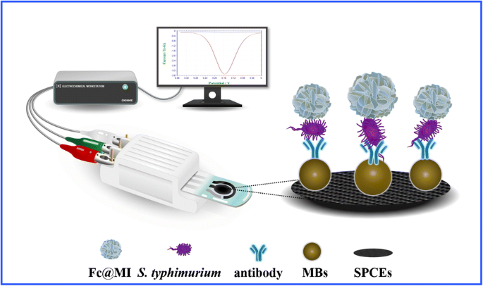 二茂铁功能化的纳米复合材料作为鼠伤寒沙门氏菌电化学免疫分析的信号放大探针 Microchimica Acta X Mol