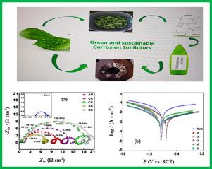 Frontiers And Advances In Green And Sustainable Inhibitors For ...