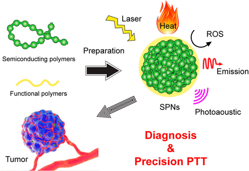 Polymer Dots For Precision Photothermal Therapy Of Brain Tumors In The ...