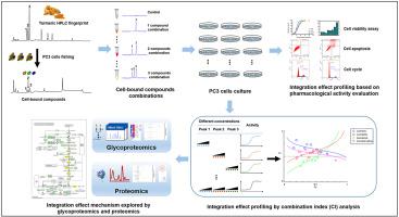 A Combination Index And Glycoproteomics Based Approach Revealed Synergistic Anticancer Effects Of Curcuminoids Of Turmeric Against Prostate Cancer Pc3 Cells Journal Of Ethnopharmacology X Mol