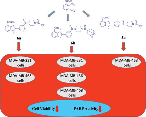 Synthesis Of Some Benzimidazole Derived Molecules And Their Effects On PARP 1 Activity And MDA