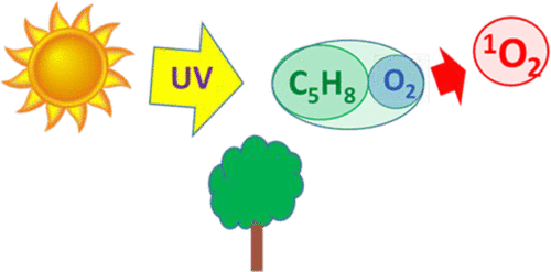 Singlet Oxygen Generation Via Uv A B And C Photoexcitation Of Isoprene Oxygen C5h8 O2 Encounter Complexes In The Gas Phase The Journal Of Physical Chemistry A X Mol