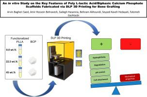 An in vitro Study on the Key Features of Poly L-lactic Acid/Biphasic ...