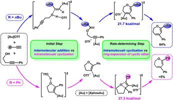 Theoretical Insight Into The Different Reactivities Of Aliphatic And ...