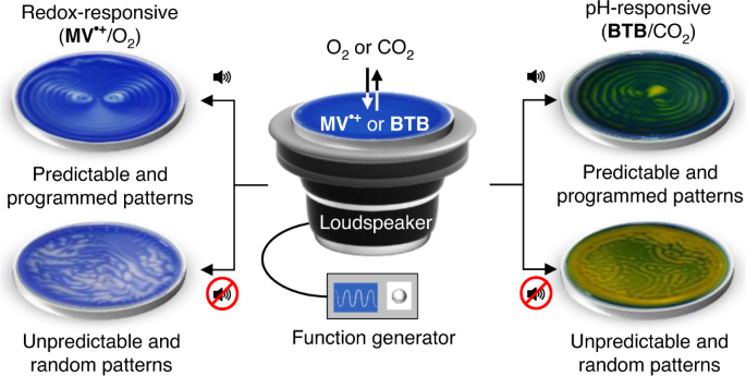 Audible Sound Controlled Spatiotemporal Patterns In Out Of Equilibrium Systems X Mol