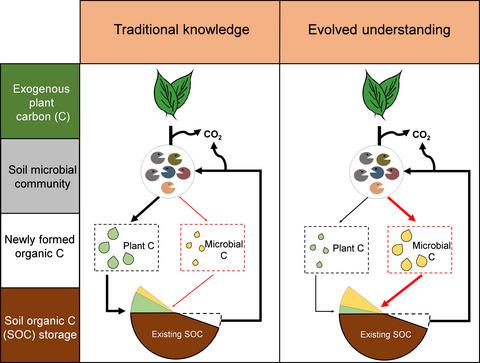 The Soil Microbial Carbon Pump: From Conceptual Insights To Empirical ...