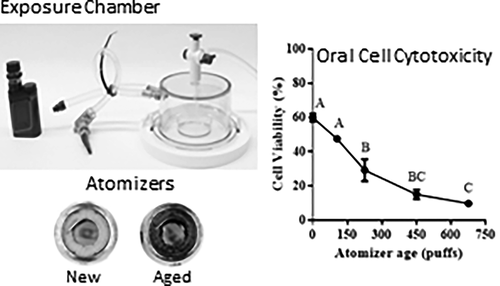 Impact of Atomizer Age and Flavor on In Vitro Toxicity of Aerosols