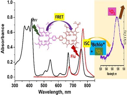 Meso And Ss Pyrrole Linked Chlorin Bacteriochlorin Dyads For Promoting Far Red Fret And Singlet Oxygen Production Chemistry A European Journal X Mol