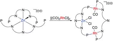 Generation Of A Zinc And Rhodium Containing Metallomacrocycle By Rearrangement Of A Six Coordinate Precursor Complex Chemical Communications X Mol