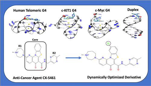 A Molecular Dynamics Study On The Binding Of An Anti Cancer Dna G Quadruplex Stabilizer Cx 5461 To Human Telomeric Ckit 1 And C Myc G Quadruplexes And A Dna Duplex Journal Of Chemical Information And Modeling X Mol