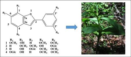 Neoveratrol A D Four New Arylbenzofurans From Veratrum Nigrum Phytochemistry Letters X Mol