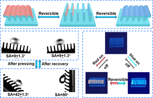 Superhydrophobic Shape Memory Polymer Microarrays With Switchable ...