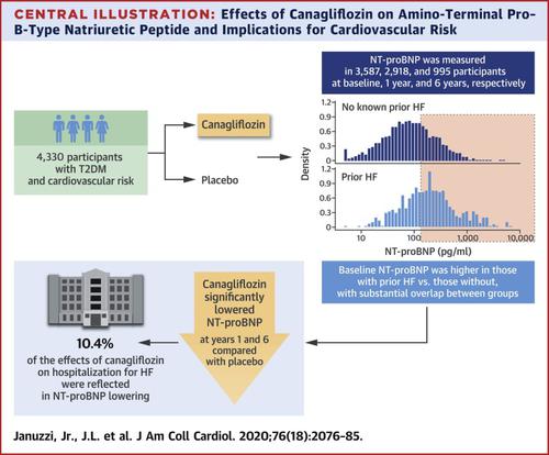 Effects Of Canagliflozin On Amino Terminal Pro B Type Natriuretic Peptide Journal Of The American College Of Cardiology X Mol
