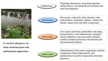 A Review Of The Traditional Uses Phytochemistry Pharmacology And Quality Control Of The Ethnic Medicinal Plant Persicaria Orientalis L Spach In China Journal Of Ethnopharmacology X Mol