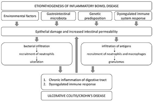 营养支持和益生菌是ibd的潜在治疗方法 Current Drug Targets X Mol