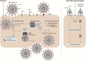 Derivatization And Combination Therapy Of Current COVID-19 Therapeutic ...