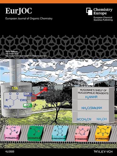 Cover Feature The Wonderful World Of B Enamino Diketones Chemistry Eur J Org Chem 41 European Journal Of Organic Chemistry X Mol