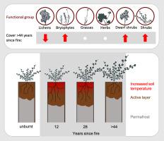 Post Fire Vegetation Succession In The Siberian Subarctic Tundra Over 45 Years Science Of The Total Environment X Mol