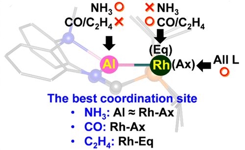 Coordination Flexibility Of The Rh Pxp Complex To Nh3 Co And C2h4 Pxp Diphosphine Based Pincer Ligand X B Al And Ga Theoretical Insight Inorganic Chemistry X Mol