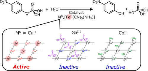 Single Open Sites On Feii Ions Stabilized By Coupled Metal Ions In Cn Deficient Prussian Blue Analogues For High Catalytic Activity In The Hydrolysis Of Organophosphates Inorganic Chemistry X Mol