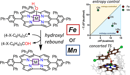 Hydroxyl Transfer To Carbon Radicals By Mn Oh Vs Fe Oh Corrole Complexes Inorganic Chemistry X Mol