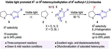 Regioselective N1 And N2 Heterocycloalkylation Of N1 Sulfonyl 1 2 3 Triazoles Organic Chemistry Frontiers X Mol