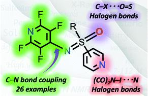 N 2 3 5 6 Tetrafluoropyridyl Sulfoximines Synthesis X Ray Crystallography And Halogen Bonding Organic Chemistry Frontiers X Mol