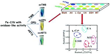 Fe–N/C Single-atom Nanozyme-based Colorimetric Sensor Array For ...