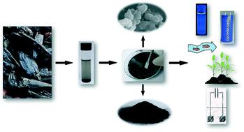 Nanobiochar: Production, Properties, And Multifunctional Applications ...