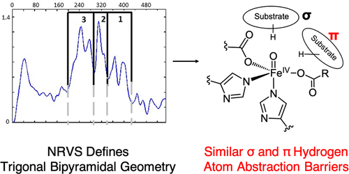 Nuclear Resonance Vibrational Spectroscopic Definition Of The Facial Triad Feiv O Intermediate In Taurine Dioxygenase Evaluation Of Structural Contributions To Hydrogen Atom Abstraction Journal Of The American Chemical Society X Mol