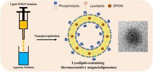 低温敏感磁脂质体的纳米沉淀制备,Colloids And Surfaces B: Biointerfaces - X-MOL