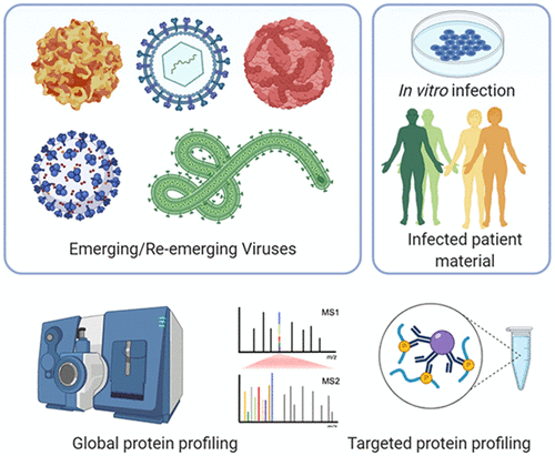 蛋白质组学在由RNA病毒引起的新发和再发传染病中的效用,Journal Of Proteome Research - X-MOL