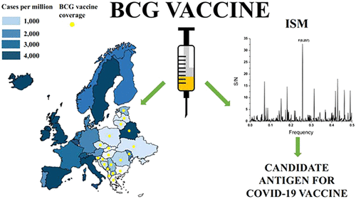 Biological Rationale For The Repurposing Of BCG Vaccine Against SARS ...