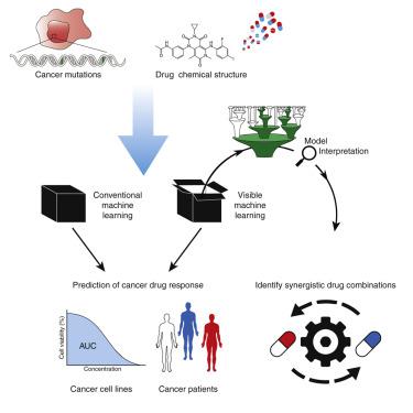 Predicting Drug Response And Synergy Using A Deep Learning Model Of ...