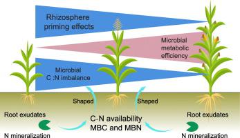 微生物代谢效率充当调节根际启动作用的介质 Science Of The Total Environment X Mol