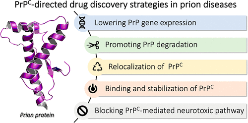 The Compelling Demand For An Effective PrPC-Directed Therapy Against ...