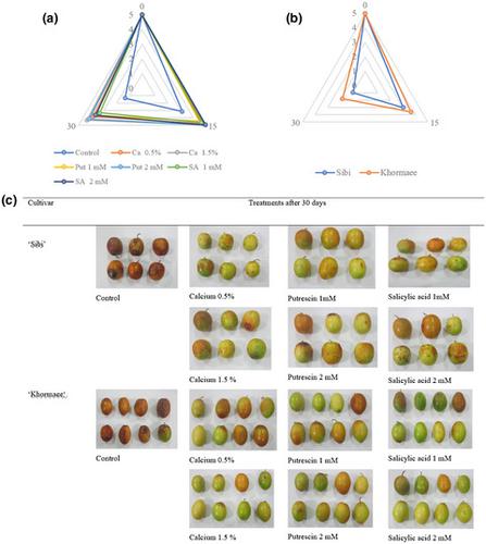 Effect of preharvest application of calcium chloride, putrescine, and ...