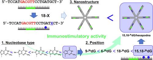 Combined use of chemically modified nucleobases and nanostructured DNA ...