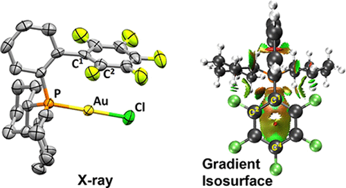 Fluorinated Vs Nonfluorinated Pr2 Biaryl Ligands And Their Aucl L Complexes Synthesis X Ray Structures And Computational Study Of Weak Interactions Bond No Bond And Beyond Inorganic Chemistry X Mol