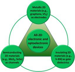 All-2D architectures toward advanced electronic and optoelectronic