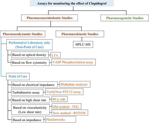 用于监测氯吡格雷治疗的药代动力学 药效学和药物遗传学检测 Pharmacology Research Perspectives X Mol